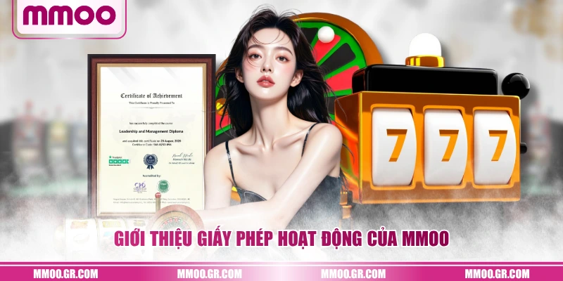 Giới thiệu giấy phép hoạt động của MMOO